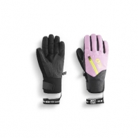 Gants Picture Kakisa Orchid 2025