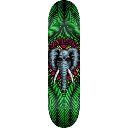 Deck Powell Peralta Vallely Elephant Green 8.0 2025 pour unisexe