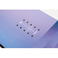 Board Nitro Fate 2026