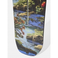 Board Burton Custom Jungle 2027