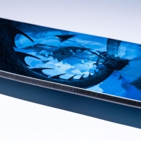 Board Lib Tech Rasman 2026