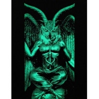 Deck Antiz Baphowlmet Silver 8.375 2026