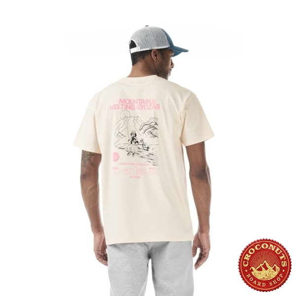 Tee Shirt Picture Cookery Begonia Pink 2026