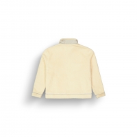 Polaire Picture Zelkova Wood Ash 2026