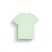 Tee Shirt Picture Basement W Tender Green 2026