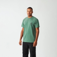 Tee Shirt Picture Picturide Smoke Pine 2025