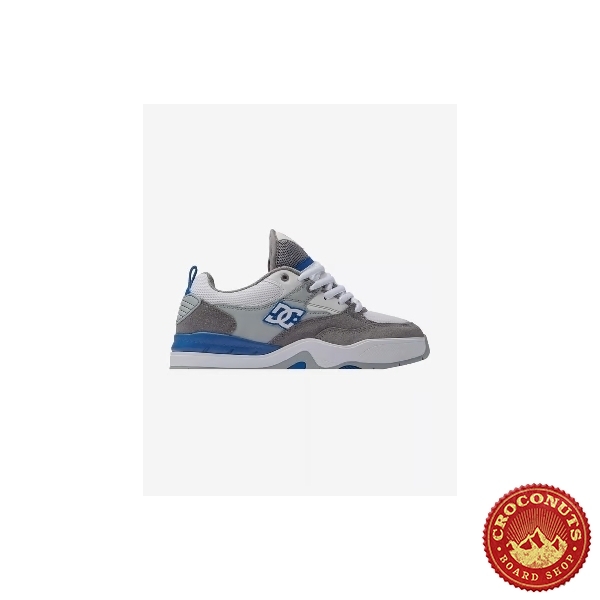 Shoes DC Shoes Ascend White Grey Blue 2025