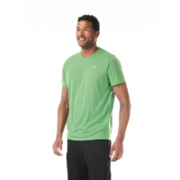 Tee Shirt Picture Timont Peppermint 2026