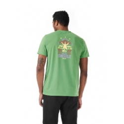 Tee Shirt Picture Timont Peppermint 2026 pour homme