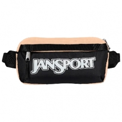 Sac Banane JanSport Washington Waistpack Travertine 2026 pour homme