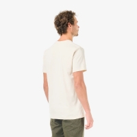 Tee Shirt Picture Beear Natural White 2026
