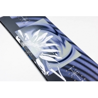 Board Nitro Fate 2027