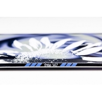 Board Nitro Fate 2027