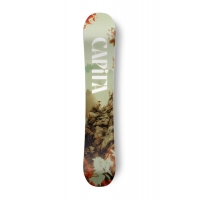 Board Capita Paradise 2027