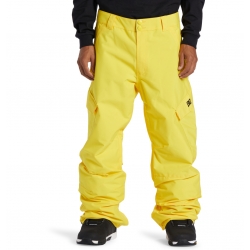 Pantalon DC Shoes Banshee Dandelion 2025 pour homme, pas cher