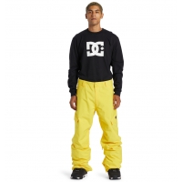 Pantalon DC Shoes Banshee Dandelion 2025