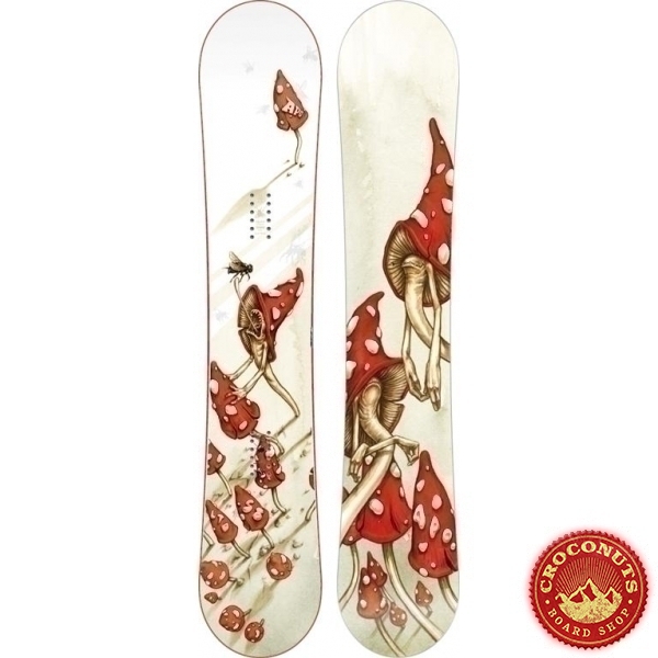 Board Apo LTD 2009