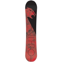 Pack Nitro Pantera + Nitro Team Shark 2015