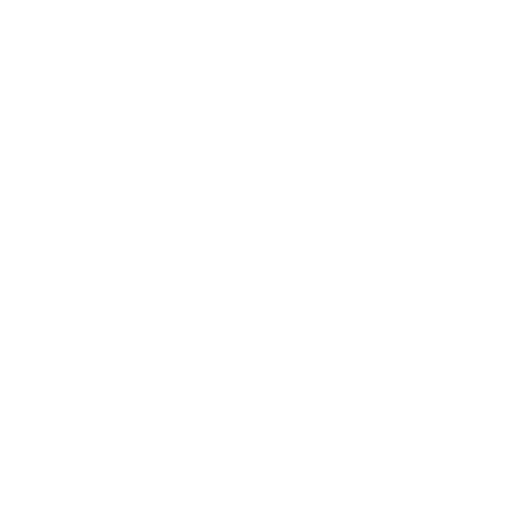 Ski