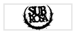 Bmx Subrosa - Bike Shop